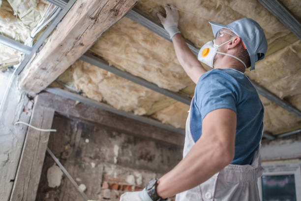 Best Insulation Maintenance and Repair in Edgecliff Village, TX