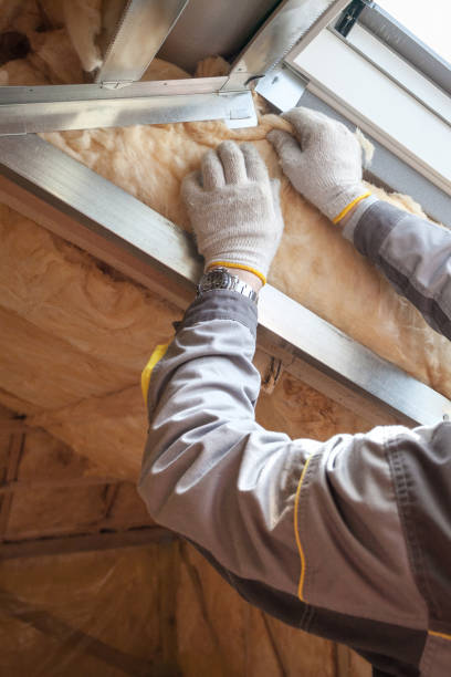 Best Blown-in Insulation in Edgecliff Village, TX